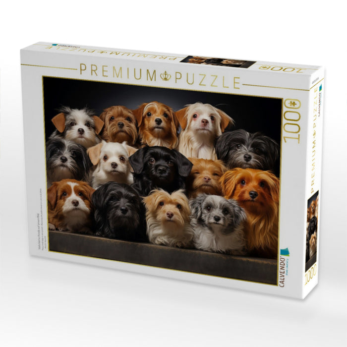 Viele kleine Hunde auf einem Bild - CALVENDO Foto-Puzzle'