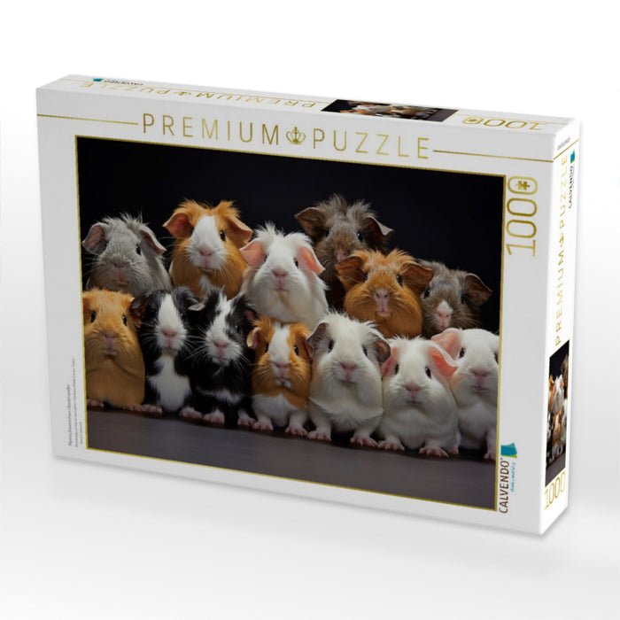 Meerschweinchen übereinander - CALVENDO Foto-Puzzle'