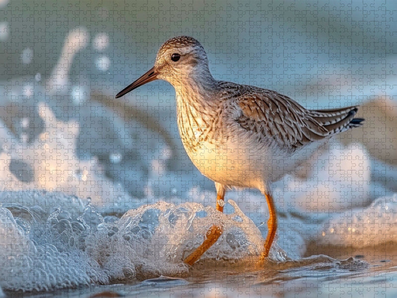 Strandläufer, mit forschem Blick auf Nahrungssuche - CALVENDO Foto-Puzzle'