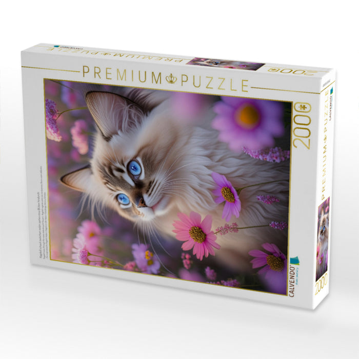 Ragdoll schaut zwischen vielen zarten rosa Blüten hindurch - CALVENDO Foto-Puzzle'