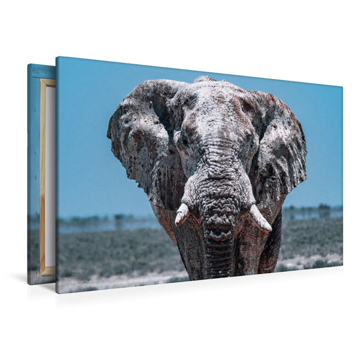 Premium Textil-Leinwand Die Giganten in Namibias Etosha Nationalpark