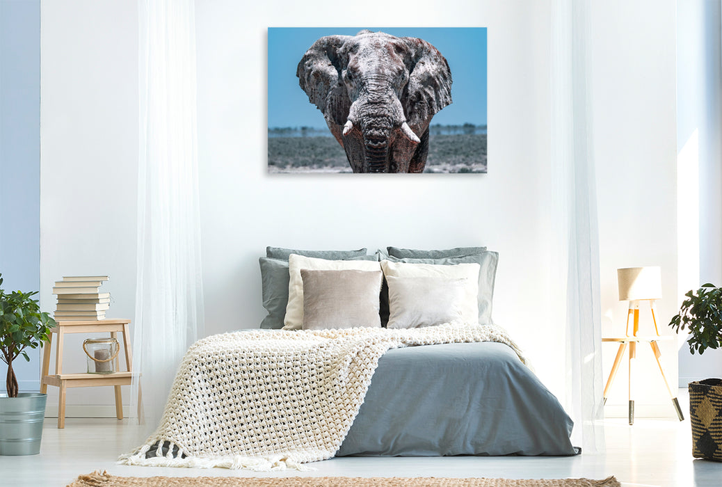 Premium Textil-Leinwand Die Giganten in Namibias Etosha Nationalpark