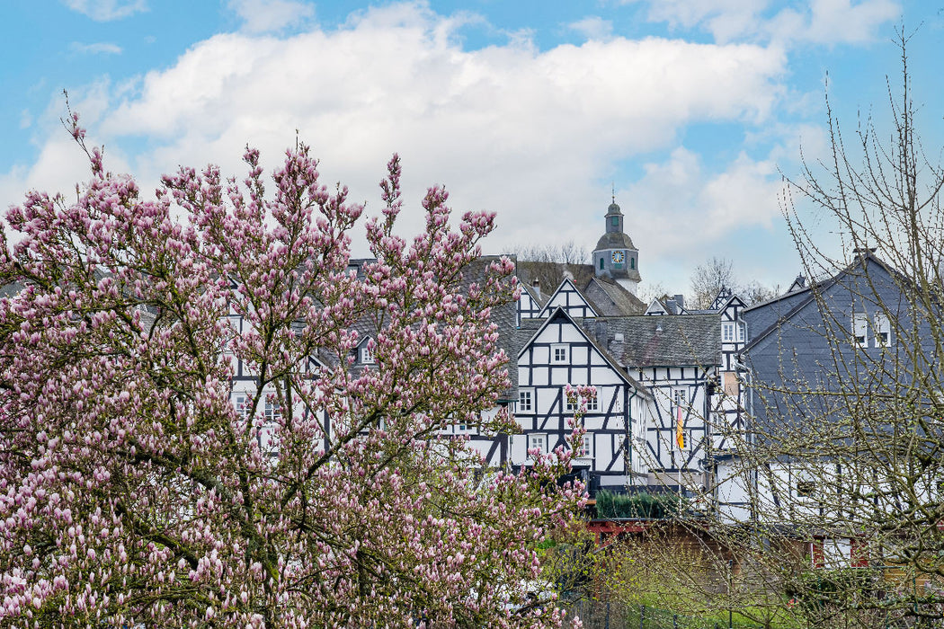 Premium Textil-Leinwand Blick von der Gartenstraße