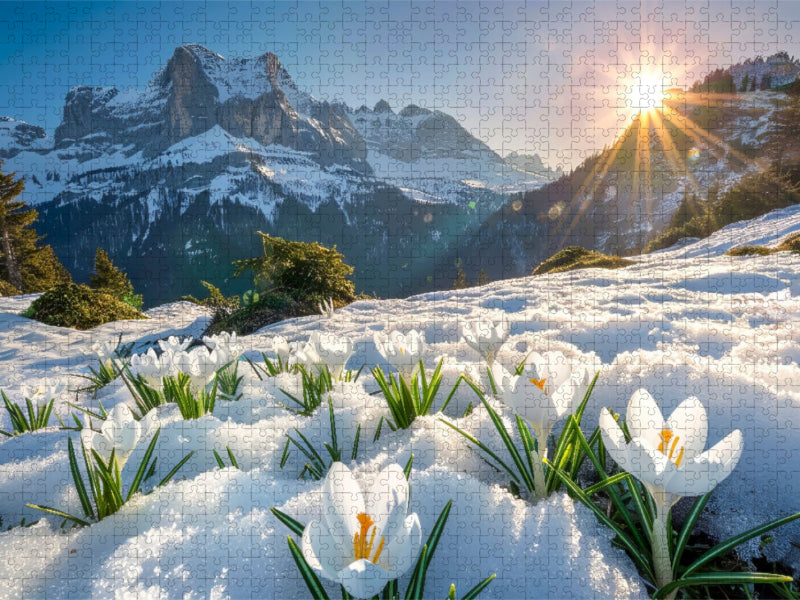 Frühlingsboten - CALVENDO Foto-Puzzle'
