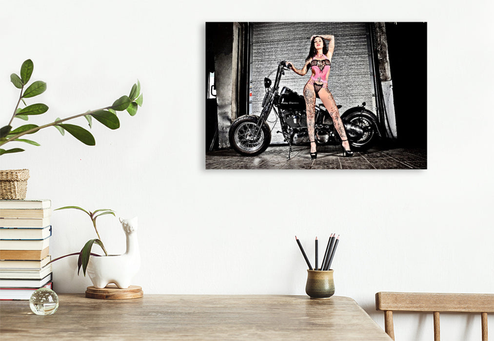 Premium Textil-Leinwand Softail Springer Evolution Bj.1995 mit Venja Virga
