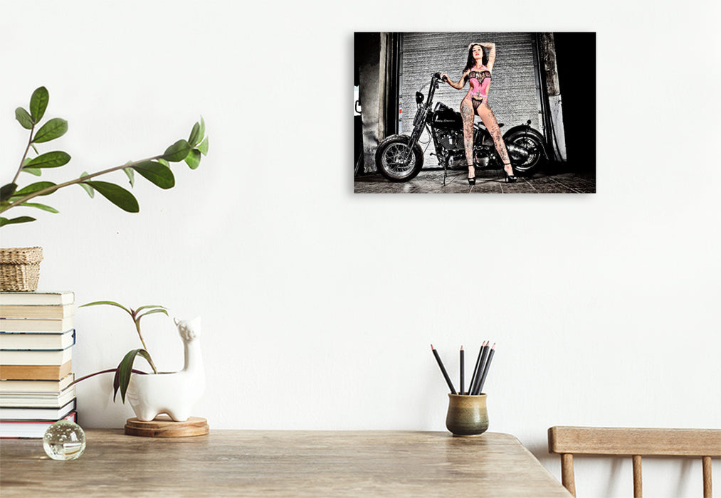 Premium Textil-Leinwand Softail Springer Evolution Bj.1995 mit Venja Virga