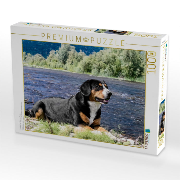 Entlebucher Rüde am Fluss - CALVENDO Foto-Puzzle'