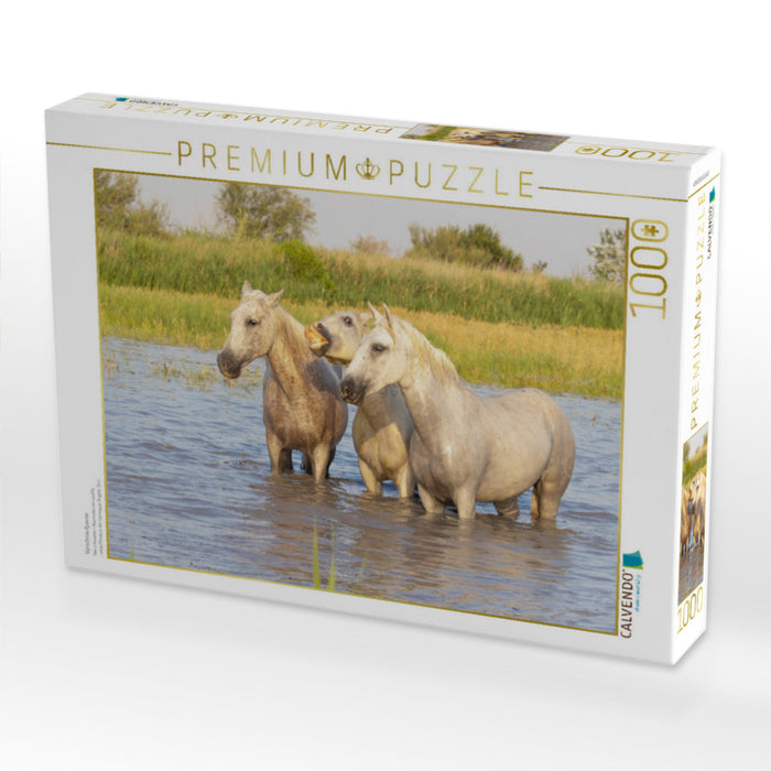 Verschnaufpause - CALVENDO Foto-Puzzle'