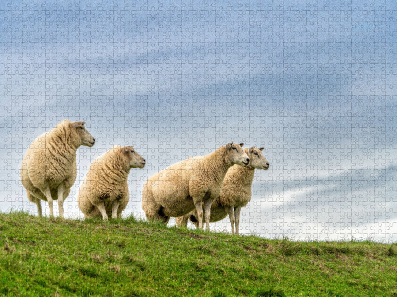 Ein Motiv aus dem Kalender Naturerlebnis Rømø - CALVENDO Foto-Puzzle'