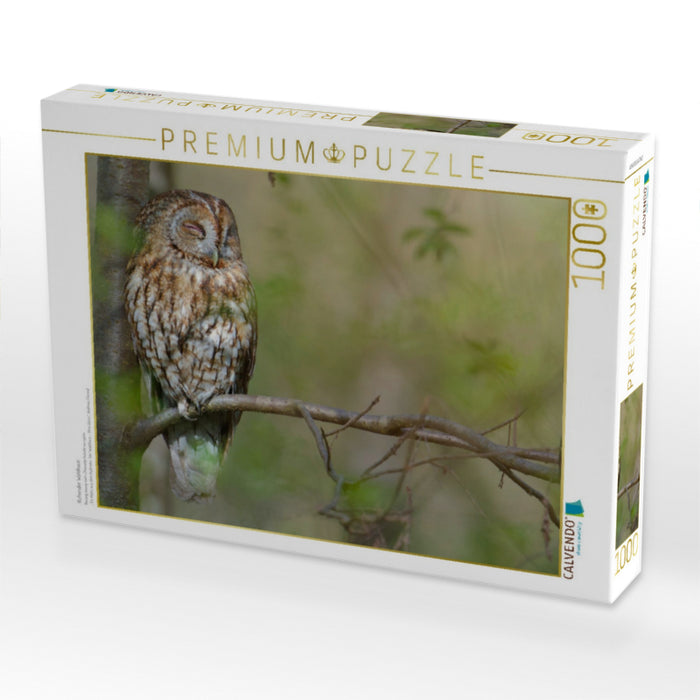 Ruhender Waldkauz - CALVENDO Foto-Puzzle'