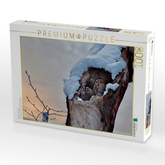 Winter im Kauzwald - CALVENDO Foto-Puzzle'