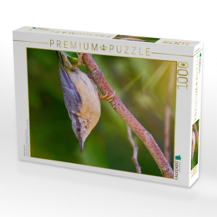 Kleiber kopfüber - CALVENDO Foto-Puzzle'