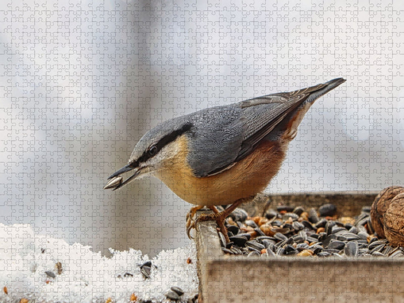Kleiber am Futterplatz - CALVENDO Foto-Puzzle'