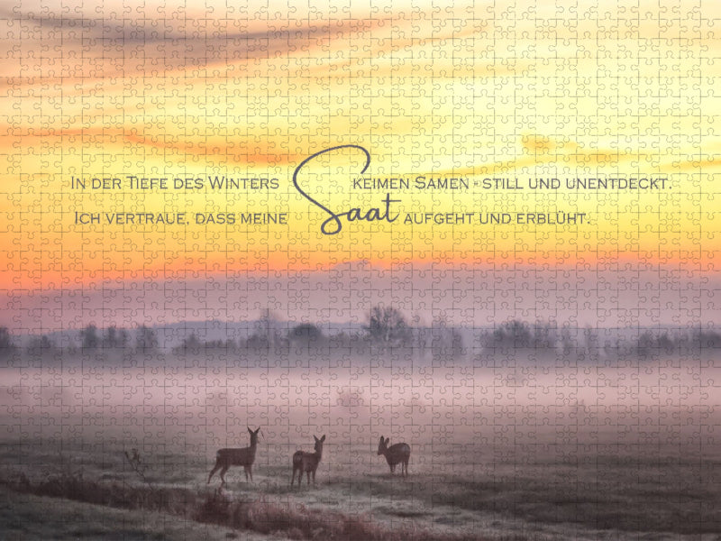 Saat - CALVENDO Foto-Puzzle'