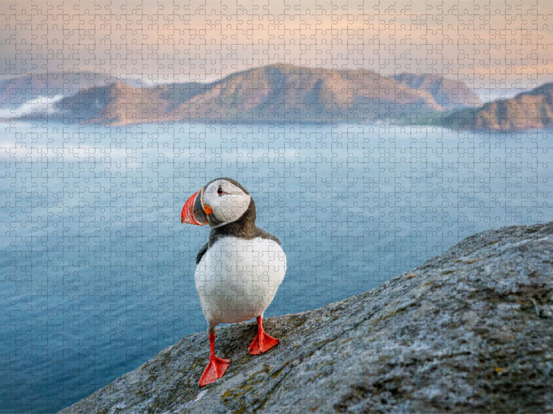 Ein Motiv aus dem Kalender Die kleinen schönen - CALVENDO Foto-Puzzle'