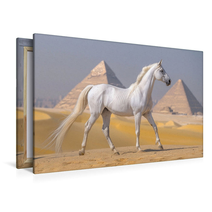 Premium Textil-Leinwand Weißes Pferd vor Pyramiden