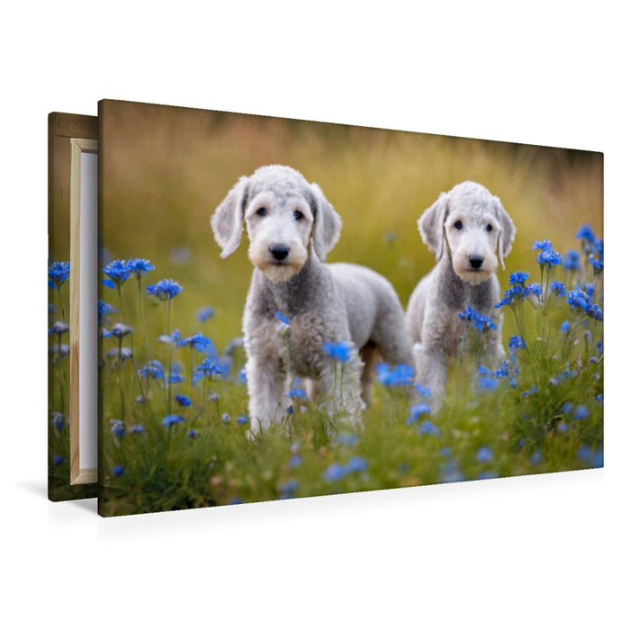 Premium Textil-Leinwand Bedlington Terrier Welpen