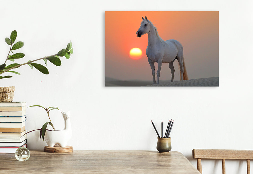 Premium Textil-Leinwand Weißes Pferd im Sonnenuntergang
