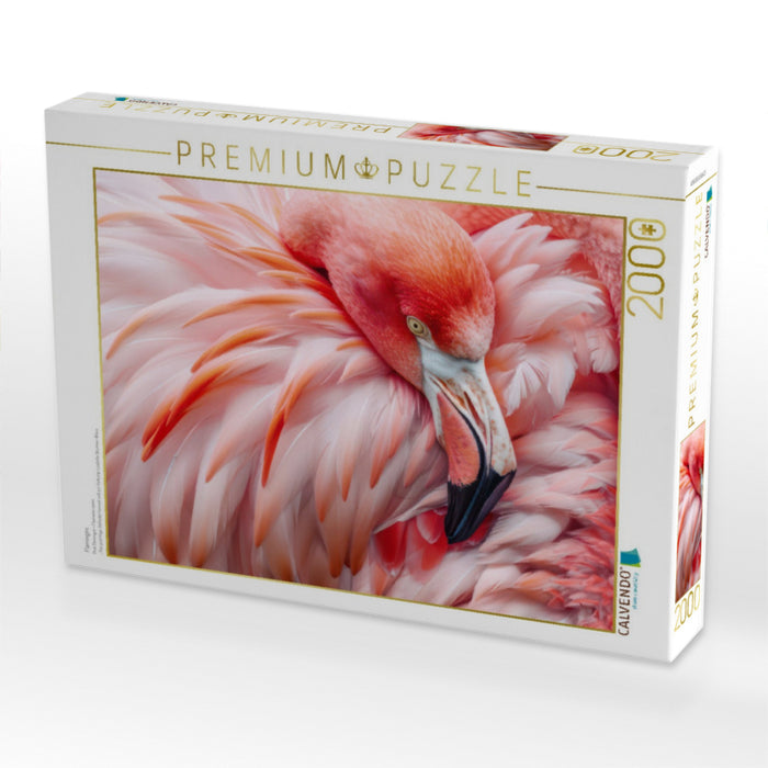 Flamingos - CALVENDO Foto-Puzzle'