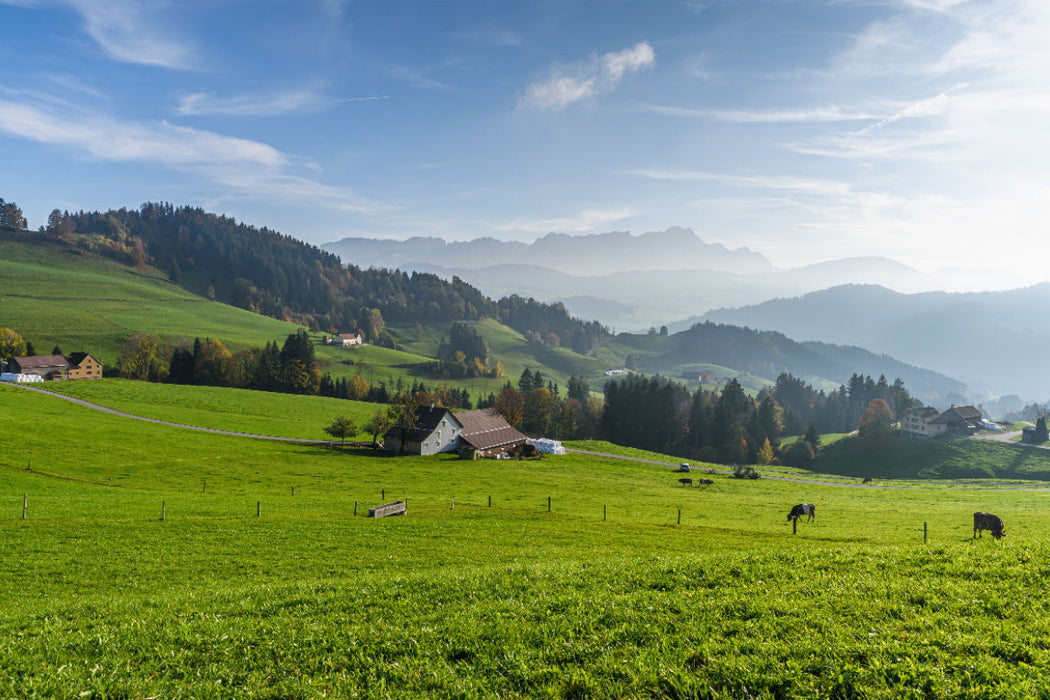 Premium Textil-Leinwand Almwiesen mit Blick zum Alpstein in der Schweiz