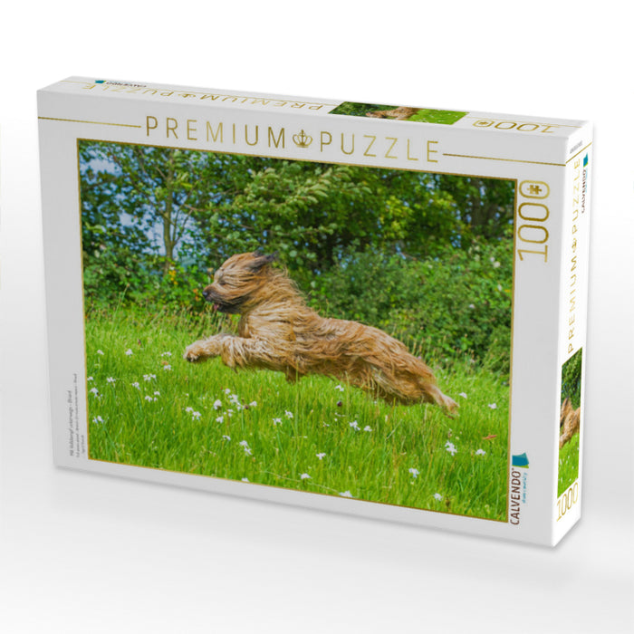 Mit Volldampf unterwegs - Briard - CALVENDO Foto-Puzzle'