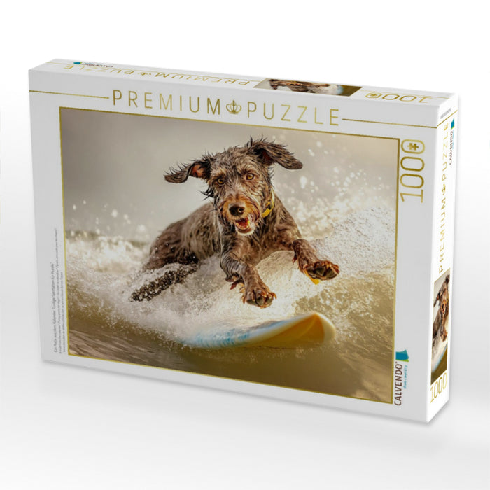 Ein Motiv aus dem Kalender "Lustige Sportarten für Hunde" - CALVENDO Foto-Puzzle'