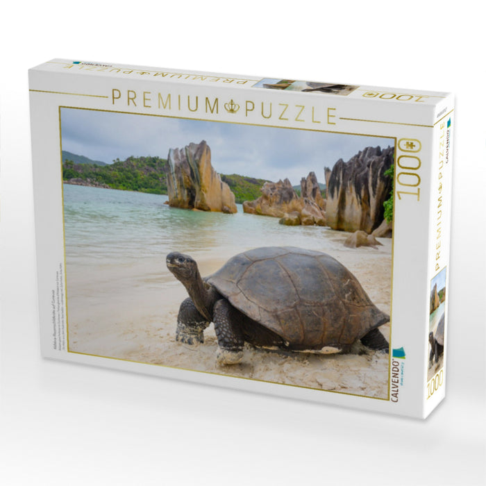 Aldabra-Riesenschildkröte auf Curieuse - CALVENDO Foto-Puzzle'