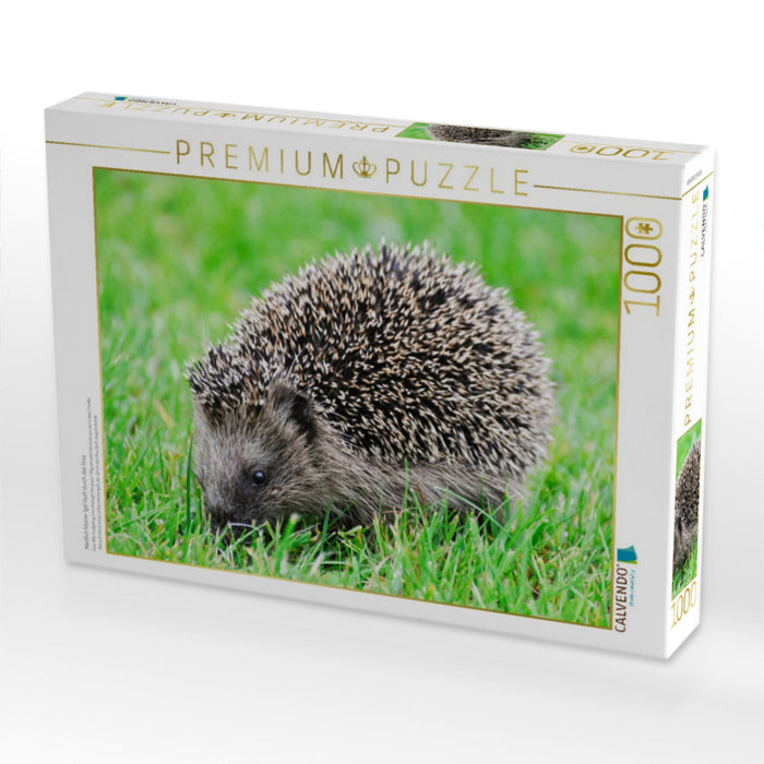 Niedlich kleiner Igel läuft durch das Gras - CALVENDO Foto-Puzzle'