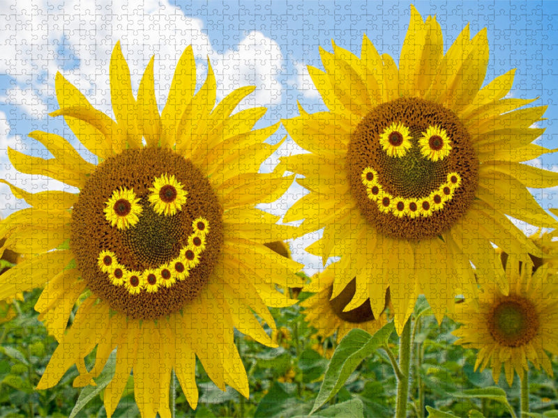 Zwei fröhliche Sonnenblumen - CALVENDO Foto-Puzzle'