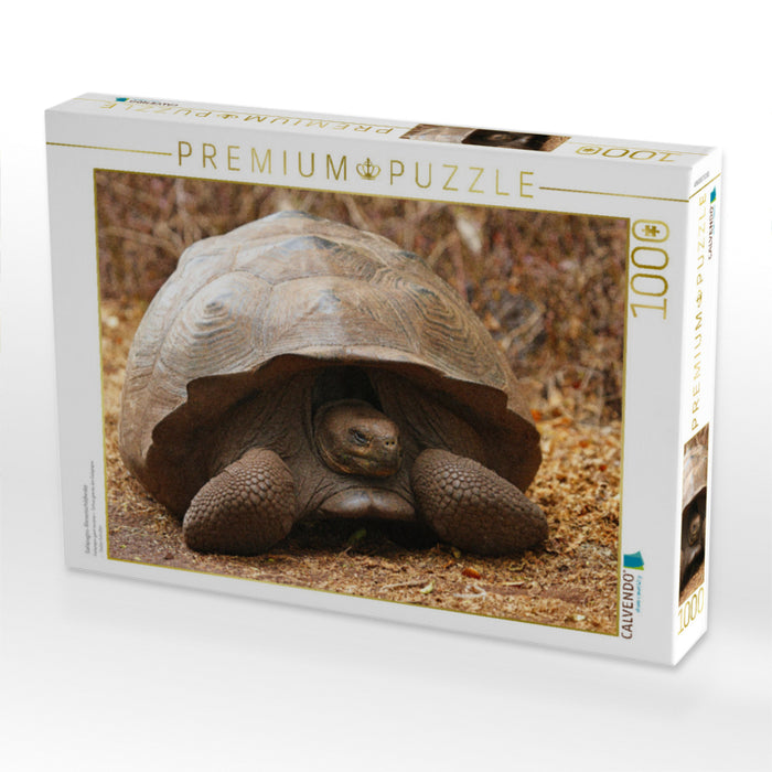 Tortue géante des Galápagos - Puzzle photo CALVENDO' 