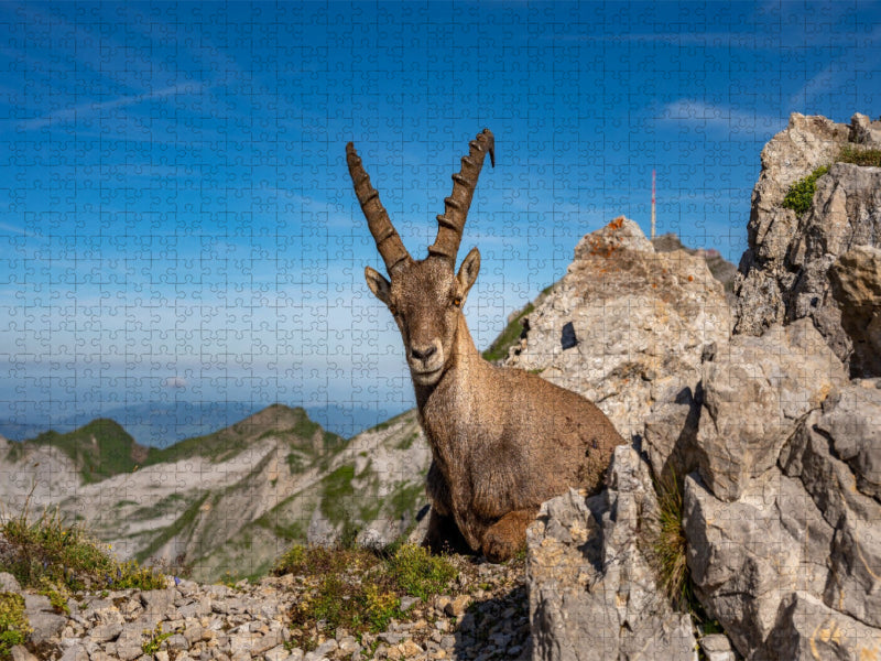 Alpsteinpanorama - CALVENDO Foto-Puzzle'