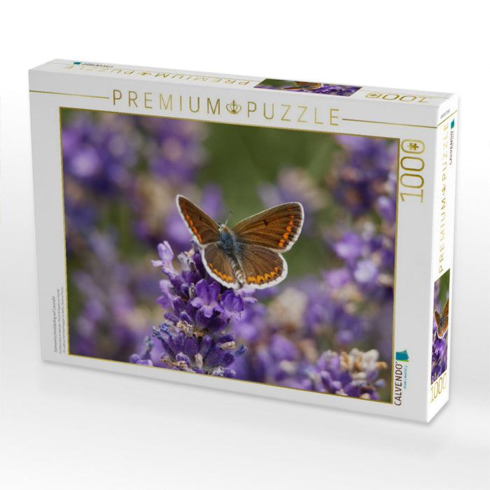 Sonnenröschenbläuling auf Lavendel - CALVENDO Foto-Puzzle'