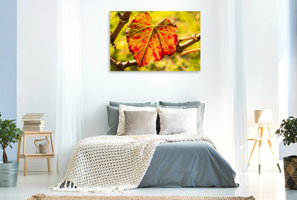 Premium Textil-Leinwand Herbstlich gefärbtes Weinblatt