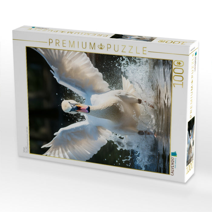 Schwan - CALVENDO Foto-Puzzle'