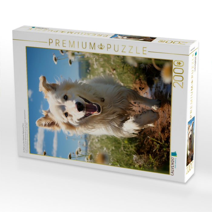 Ein Motiv aus dem Kalender Highspeed Tiere - CALVENDO Foto-Puzzle'