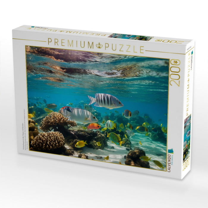 Fischschwarm in den Tropen mit Korallen - CALVENDO Foto-Puzzle'