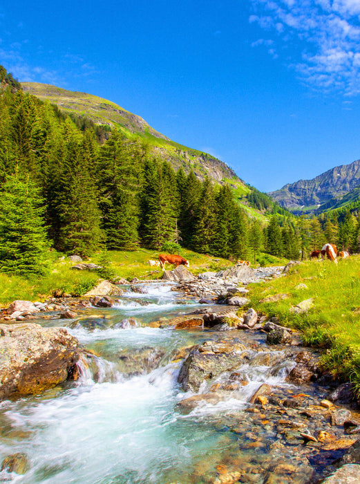 Der Göriachbach im schönen Almgebiet - CALVENDO Foto-Puzzle'