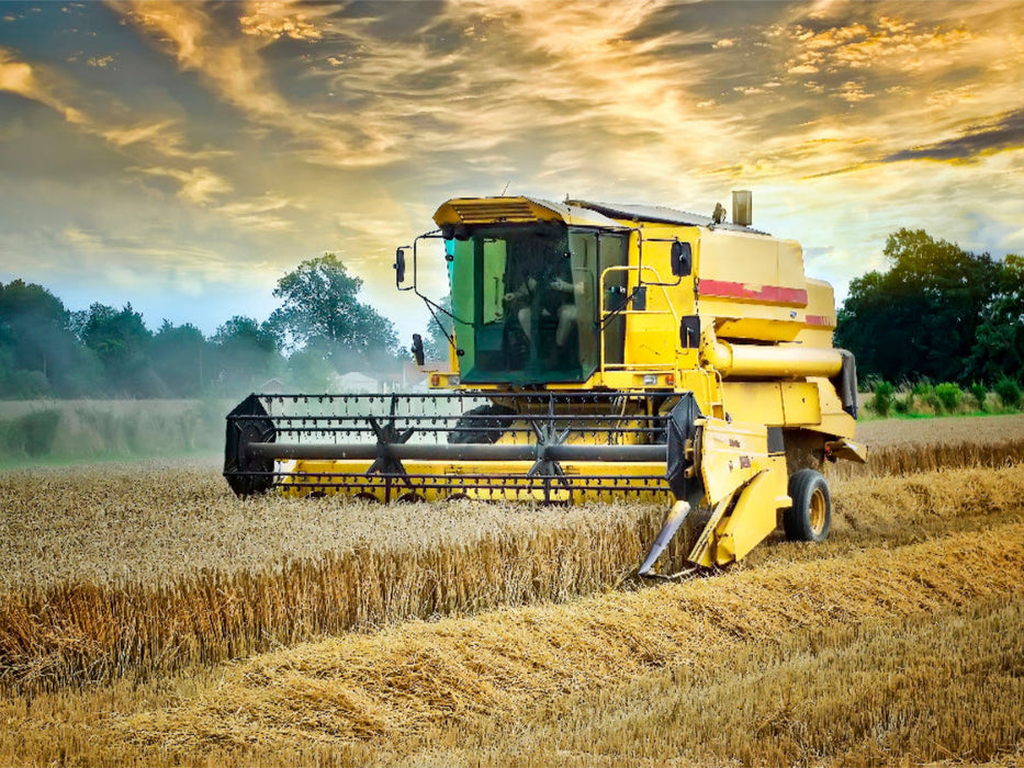 Wettlauf gegen das Wetter - CALVENDO Foto-Puzzle'