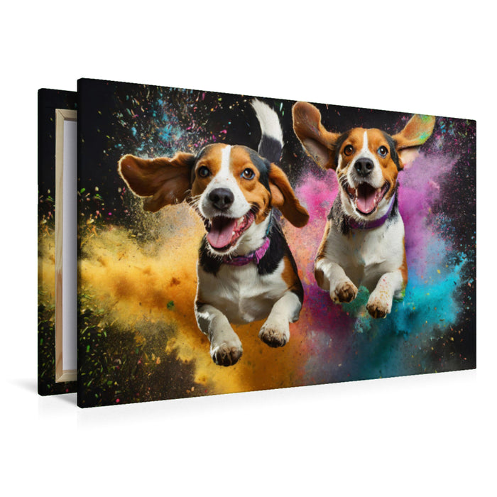 Premium Textil-Leinwand Zwei Beagle springen in einer bunten Holi Pulver Farbwolke