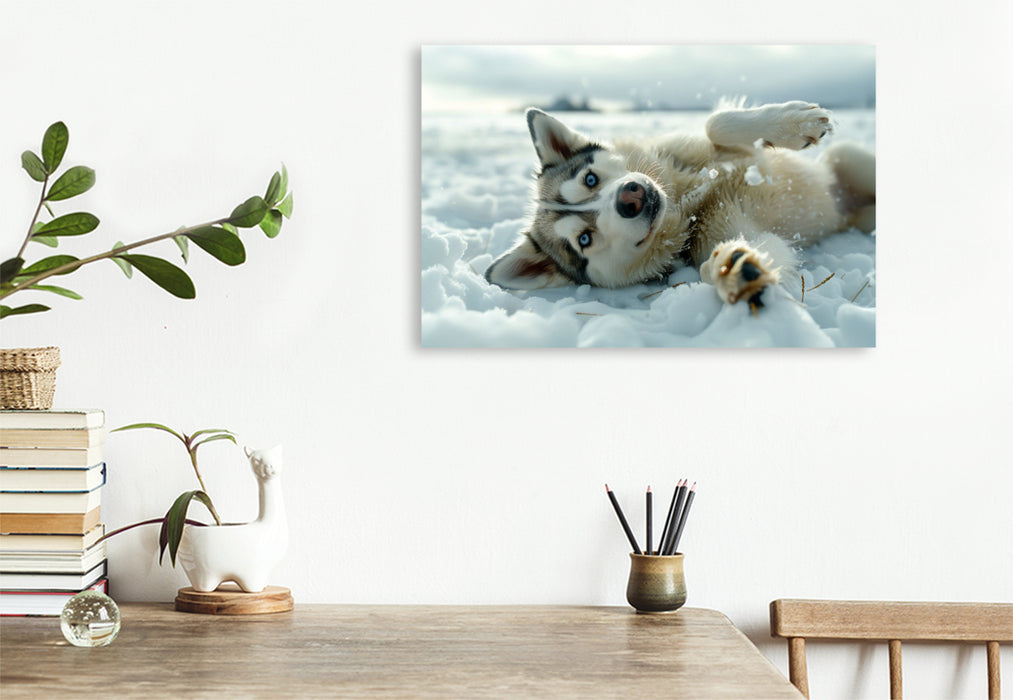 Premium Textil-Leinwand Husky liegt im Schnee