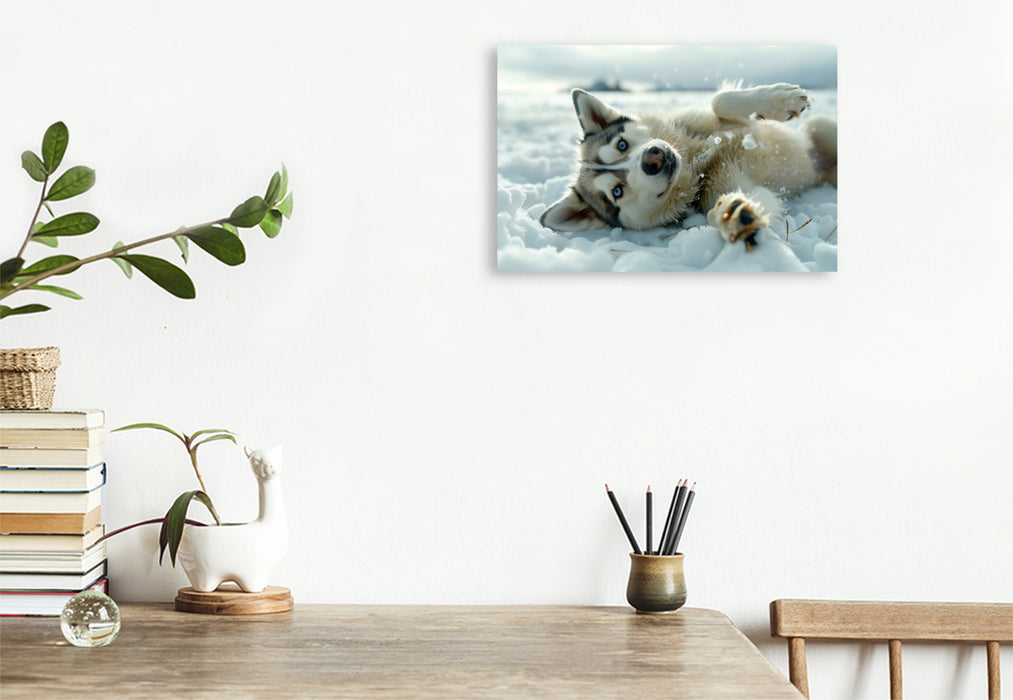 Premium Textil-Leinwand Husky liegt im Schnee