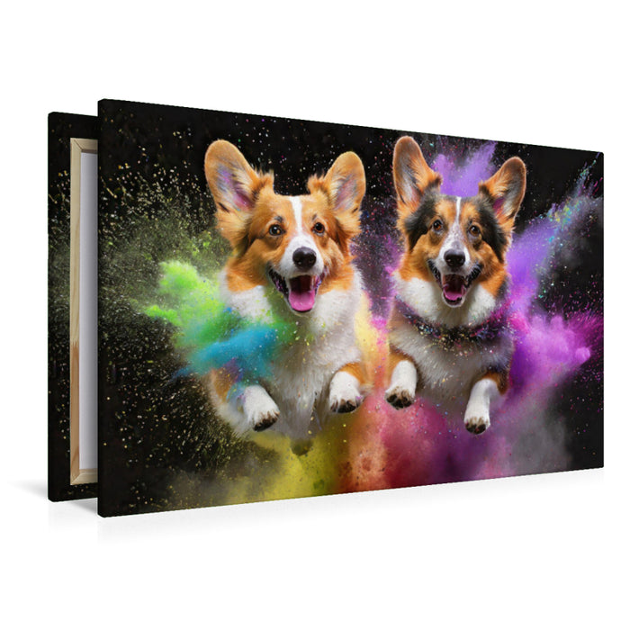 Premium Textil-Leinwand Zwei Welsh Corgi Pembroke springen in einer bunten Holi Pulver Farbwolke