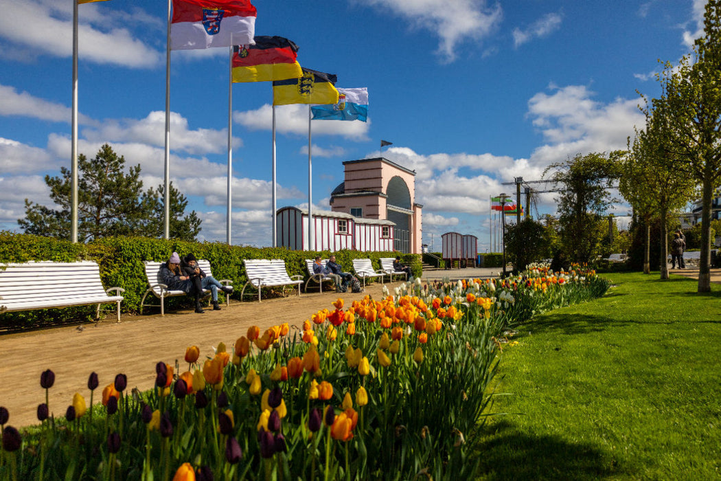 Premium Textil-Leinwand Frühblüher im Bansiner Kurpark