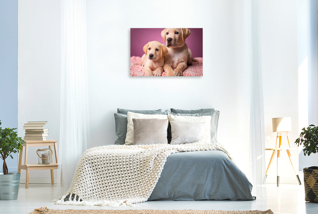Premium Textil-Leinwand Zwei Labrador Retriever Welpen kuscheln auf einer rosafarbenen Decke
