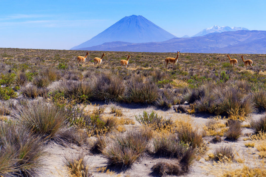 Premium Textil-Leinwand Nationalpark Salinas y Aguada Blanca