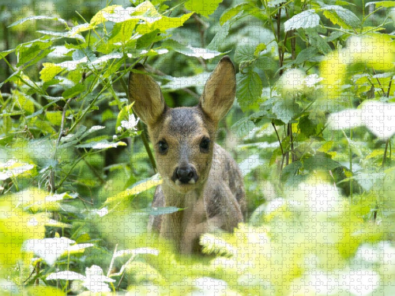 Rehkitz - zauberhaft klein - CALVENDO Foto-Puzzle'