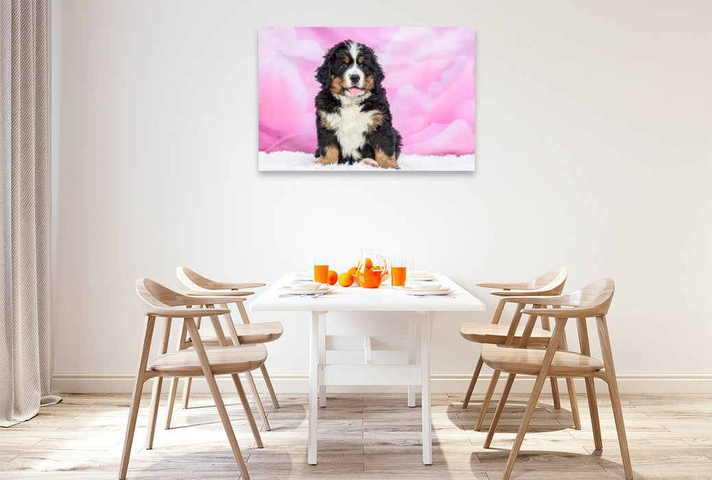 Premium Textil-Leinwand Berner Sennenhund Baby