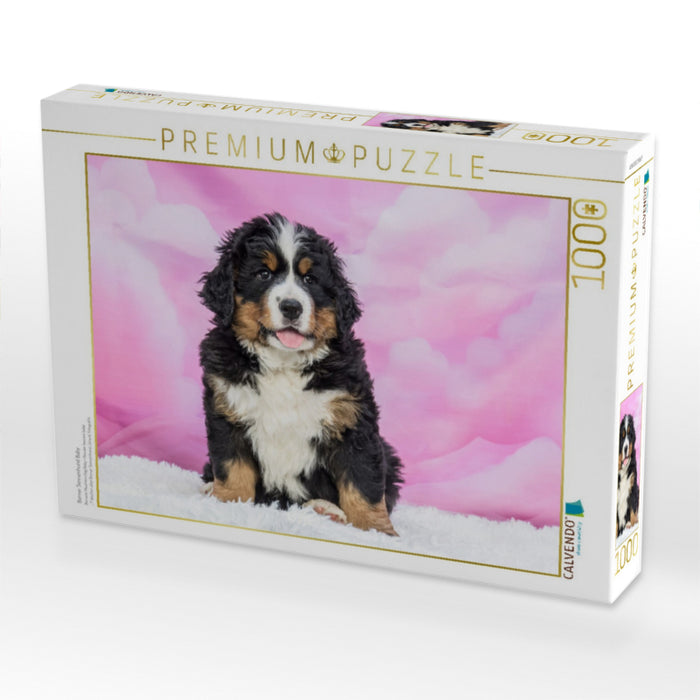Berner Sennenhund Baby - CALVENDO Foto-Puzzle'