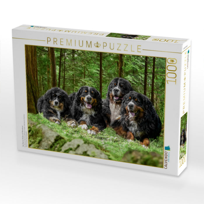 Vier Berner Rüden auf Abenteuer - CALVENDO Foto-Puzzle'