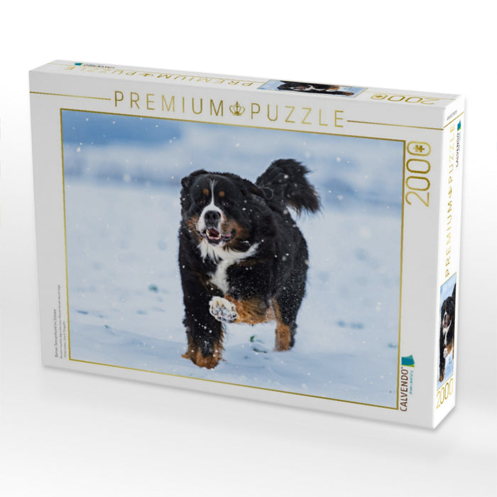 Berner Sennenhund im Schnee - CALVENDO Foto-Puzzle'